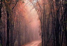 逆转胜布伦特福德 炮兵升至英超积分榜次席.