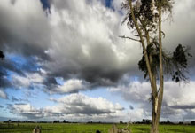 东契奇31+9戈登26+11 轻取获3连胜.