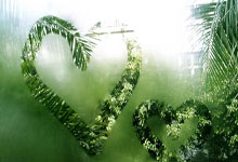 林高远加入德国穆尔豪斯俱乐部 将征战乒乓球欧冠.