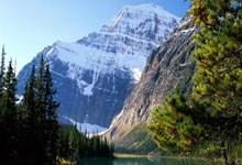 哈尔滨亚冬会冠军布鲁尔：希望能代表中国队参加米兰冬奥会中国新闻网.