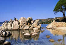 图片报：拜仁对阿芳二次检查属预防措施，结果发现他赛季报销.